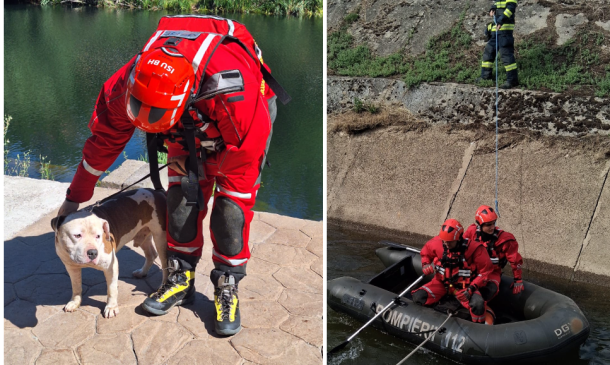 Left panel shows a firefighter in red gear with a dog beside a riverbank; Right panel shows two rescuers in a black inflatable boat near a concrete embankment with a rescuer on shore holding a rope.