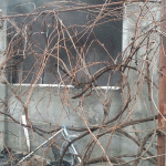 Untitled-1-Recoveredfrefe