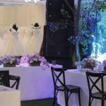 16117932_404390366566758_382271191_n