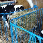 Banat-Agralim01 - Copy