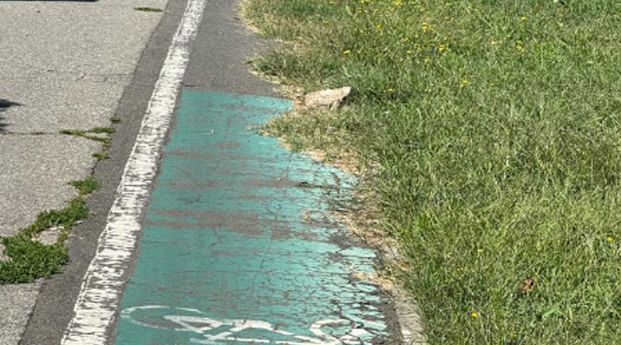 pista-de-biciclete - Sursa de Vest