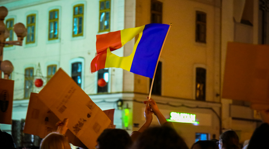 protest-11 - Sursa de Vest