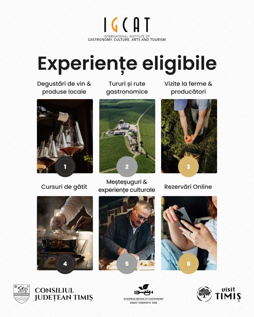 Grafica info Top Foodie Websites 2026 - Sursa de Vest