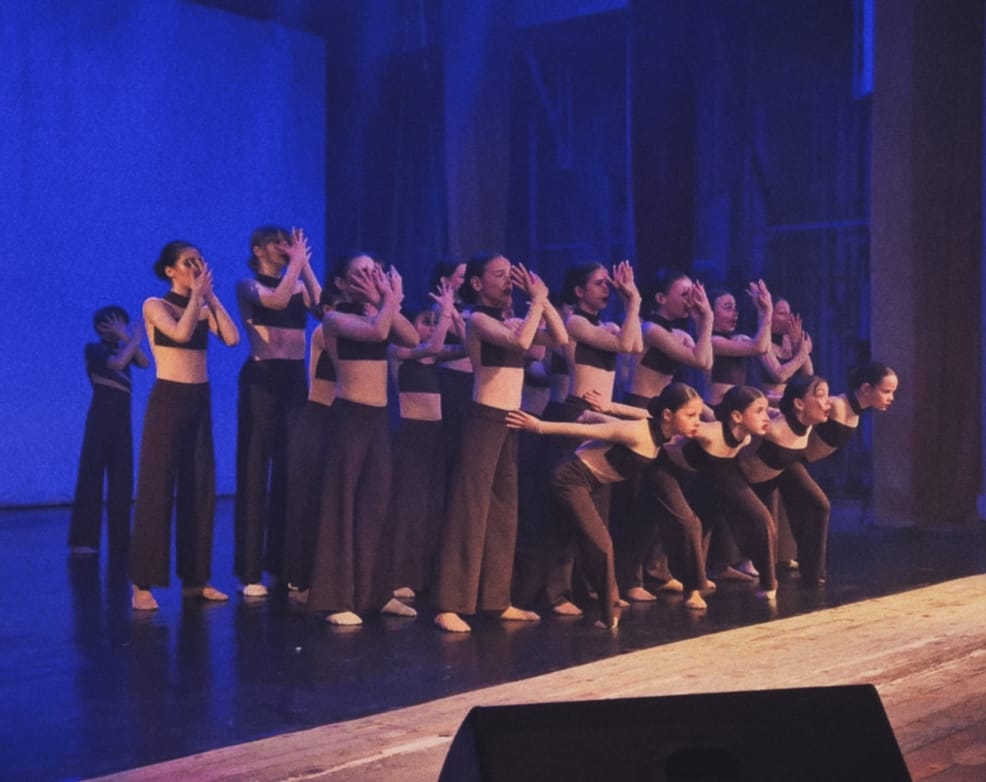 WhatsApp Image 2026-04-10 at 113450 9 - Sursa de Vest