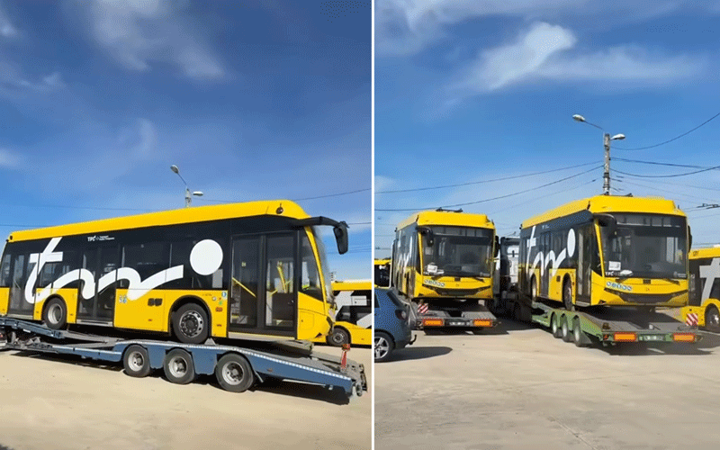 Two yellow city buses being transported on flatbed trailers in a parking lot, preparing for delivery or service. territori