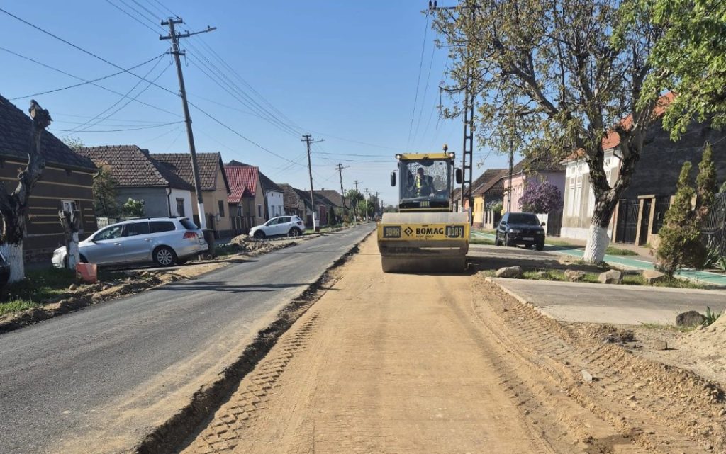 Road roller compacting a dirt lane on a residential street, with houses, parked cars and trees on both sides.