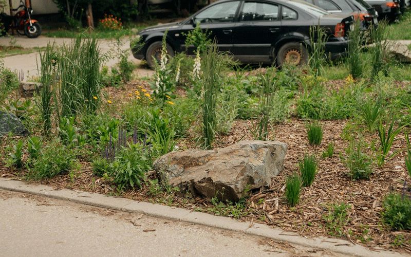 Rock centerpiece in a landscaped garden bed with tall grasses and flowering plants, a curb and parked car in the background