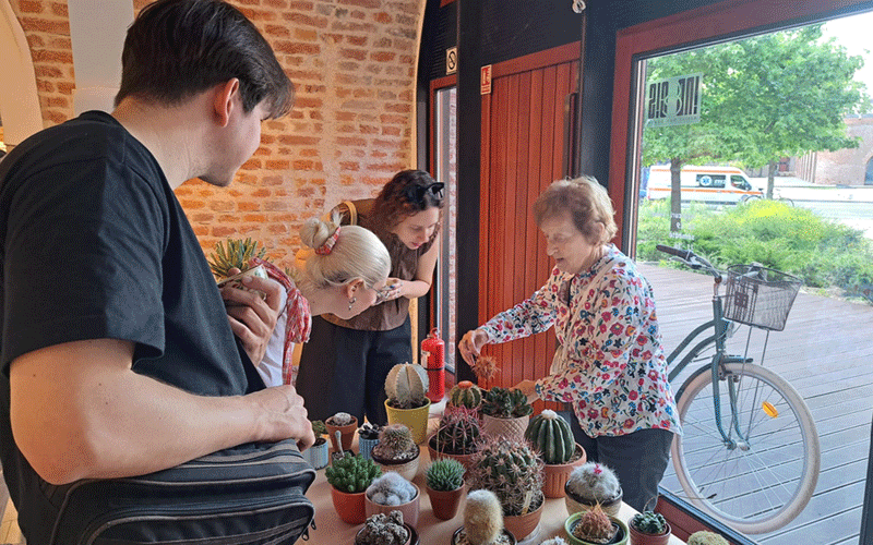 Group of four people browsing a table of small potted cacti and succulents inside a brick-walled shop window.