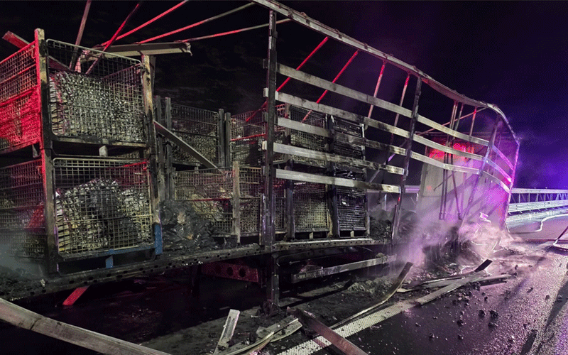 Charred livestock trailer on a highway at night, with burning debris and pink emergency lights reflecting off metal cages.
