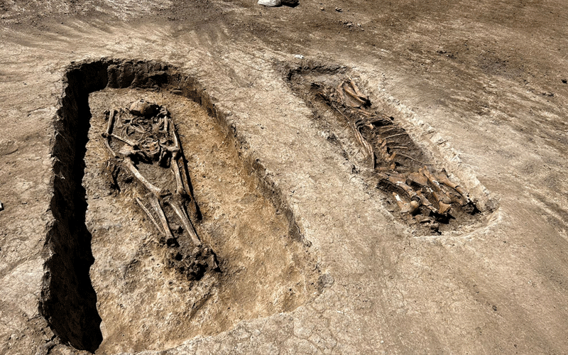 centura-vest8 - Sursa de Vest Two ancient skeletons laid in shallow earthen trenches at an archaeological dig site, bones exposed in the dirt left in place.