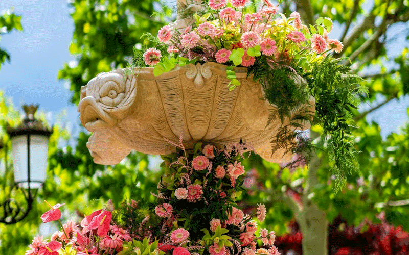 Stone shell-shaped planter filled with pink and white flowers hanging in a sunny garden