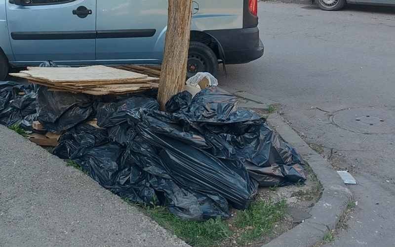 Pile of black trash bags and wooden boards piled beside a tree on a curb, with a blue van in the background.