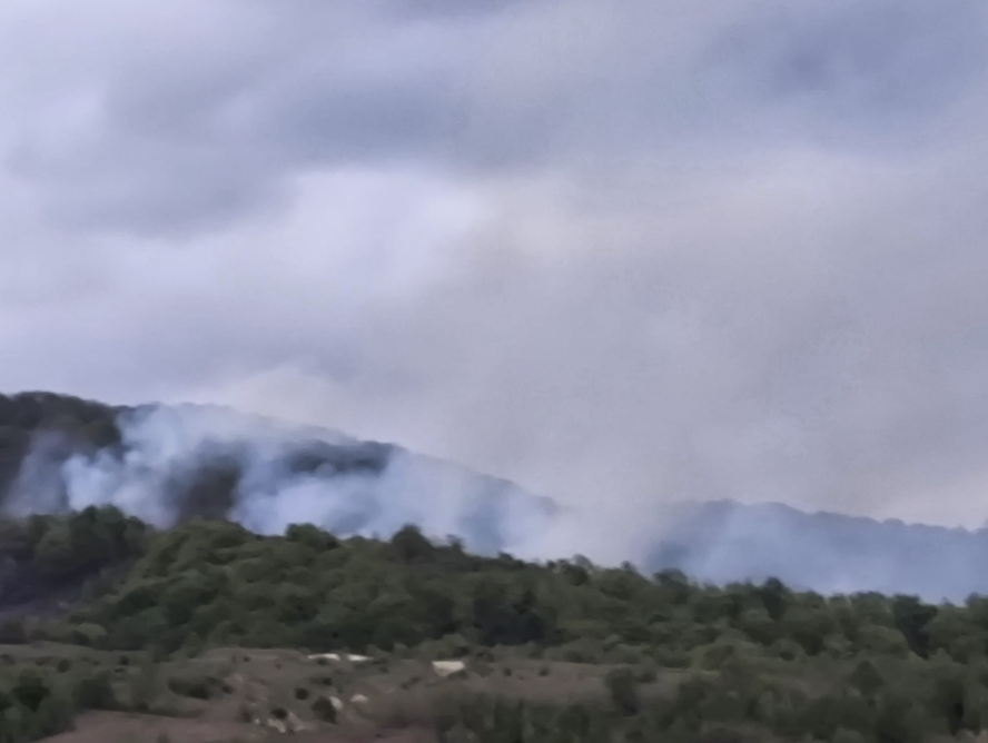 Smoke rising over a forested hillside on a cloudy day, indicating a wildfire nearby.