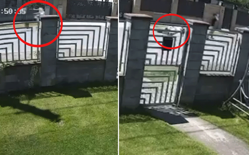 Frame from security footage showing a person attempting to scale a tall decorative gate with chevron-pattern panels; red circles highlight the climber near the gate opening.