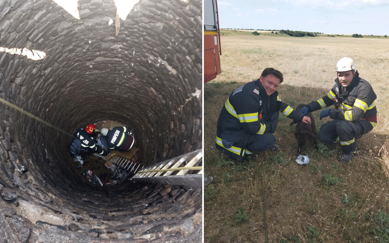 Firefighters descend into a deep brick well using a ladder during a rescue operation in progress (left panel). Right panel shows two firefighters kneeling in a field with a dog, likely assisting or comforting it.