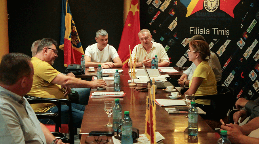 Group of people seated around a long conference table, discussing with papers and water bottles, flags in the background.