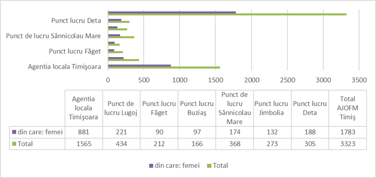 image - Sursa de Vest Bar chart with a purple 'din care: femei' and green 'Total' bars, plus a data table, comparing four sites: Agenția locală Timișoara, Punct de lucru Lugoj, Punct de lucru Făget, Punct de lucru Sânnicolau Mare; shows site counts and overall totals.