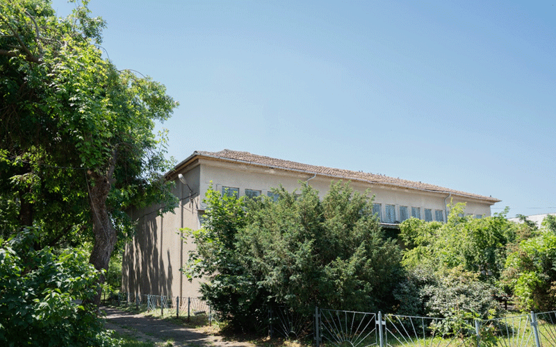 Two-story beige house partially hidden by dense green trees and shrubs under a clear blue sky.