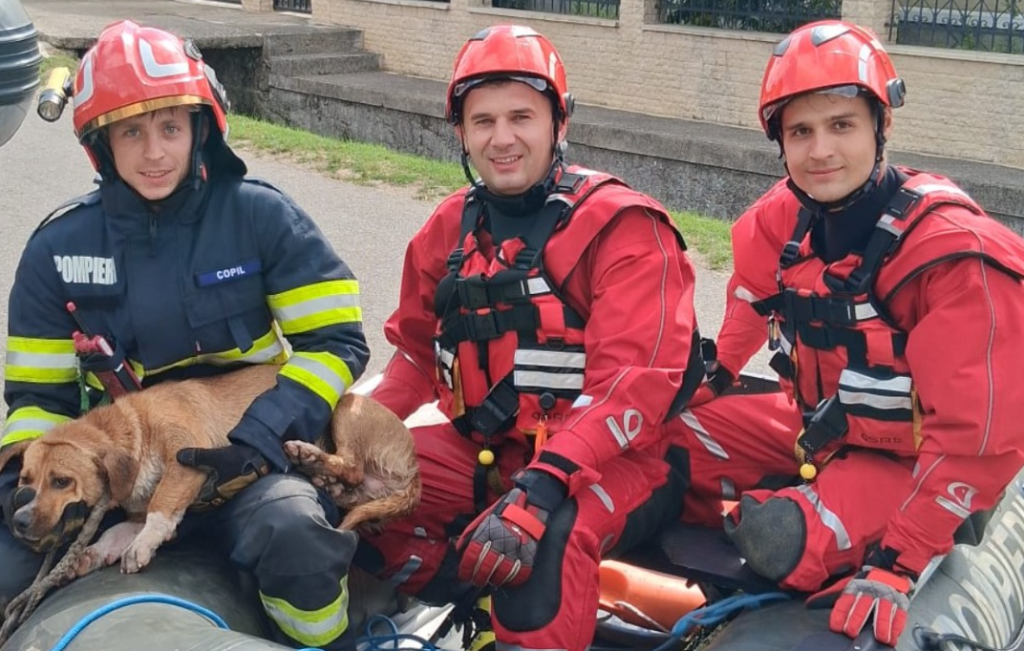 Three firefighters in red turnout gear and helmets sit with a brown dog on a rescue raft outdoors.