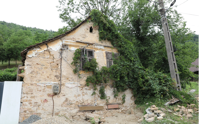Old, weathered cottage with cracked plaster and overgrown ivy clinging to the walls in a rural setting.