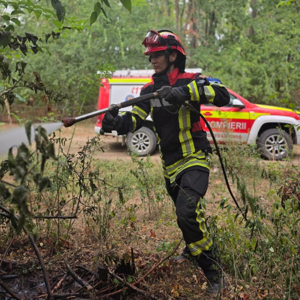 Firefighter in turnout gear sprays water from a hose in a wooded area, with a red emergency vehicle in the background.