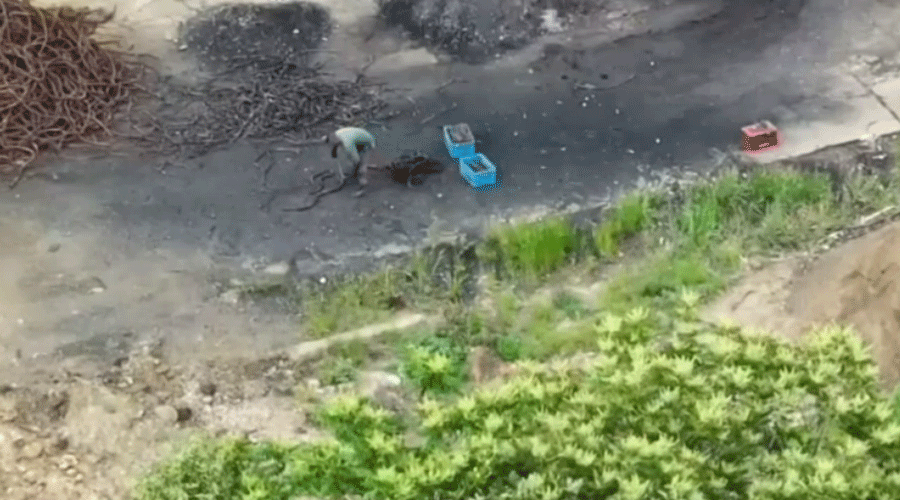 Person bending over and digging a hole in a gravel area with scattered debris and blue crates nearby.