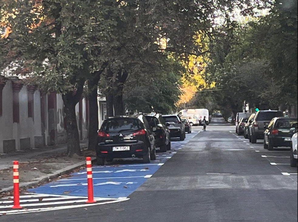 Street lined with parked cars on both sides, blue disability parking spaces with cones and markings, trees overhead.