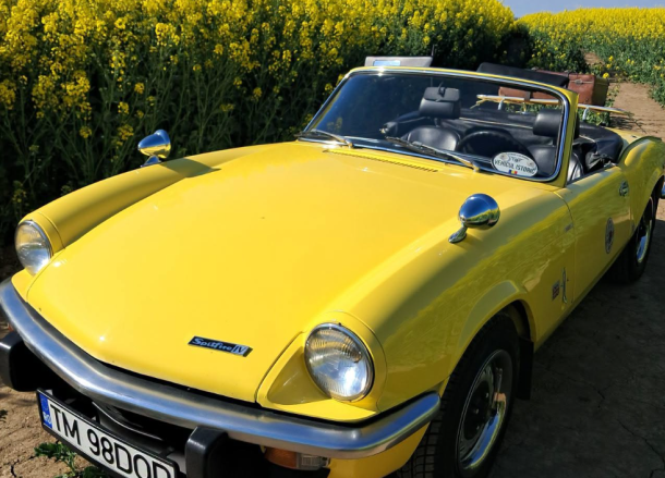 Yellow vintage convertible (Triumph Spitfire) parked on a rural road beside a canola field in bloom on a sunny day.