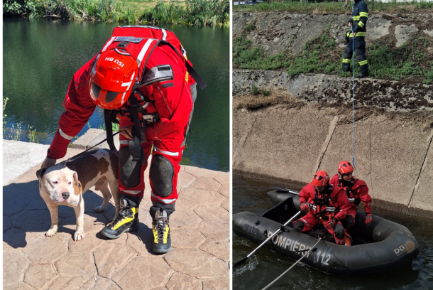 Left panel shows a firefighter in red gear with a dog beside a riverbank; Right panel shows two rescuers in a black inflatable boat near a concrete embankment with a rescuer on shore holding a rope.