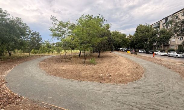 Curved asphalt path surrounding a dirt island with small trees, in a residential area with parked cars along a building line to the right.