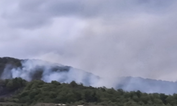 Smoke rising over a forested hillside on a cloudy day, indicating a wildfire nearby.