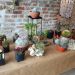 Table covered with burlap showcases a variety of potted cacti and succulents against an exposed brick wall, arranged in small pots and containers for display.