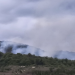 Smoke rising over a forested hillside on a cloudy day, indicating a wildfire nearby.