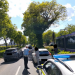 Police officer talks to the driver of a white car on a sunny tree-lined street; a tram is on the right and police car lights are visible in the foreground.