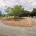 Curved asphalt path surrounding a dirt island with small trees, in a residential area with parked cars along a building line to the right.