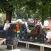 A small outdoor string ensemble performing on a portable stage in a park, with sheet music stands and a banner in the background.