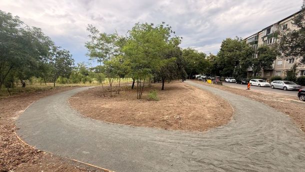 Curved asphalt path surrounding a dirt island with small trees, in a residential area with parked cars along a building line to the right.