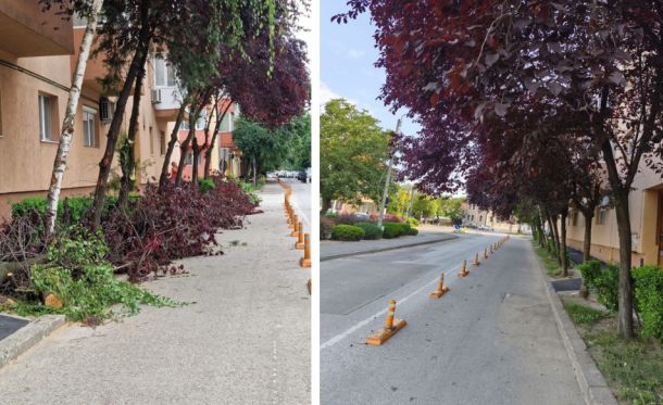 Two side-by-side views of a residential street: left shows fallen tree branches and trimmed debris along a sidewalk, right shows a road with orange traffic cones lining the lane.