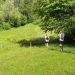 Three hikers with backpacks jog along a grassy trail through a sunny meadow bordered by trees.