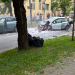 Two cars damaged in a street collision with debris on the road and a crowd of bystanders watching nearby on a residential street.