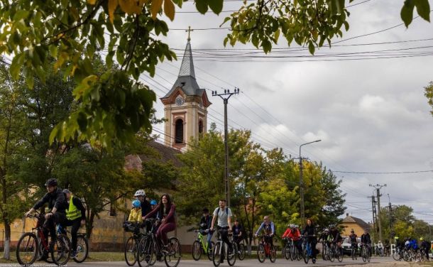 Group of cyclists riding along a tree-lined street with a church steeple visible in the background.